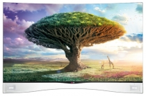Телевизор LG 55EA9800 - Перепрошивка системной платы
